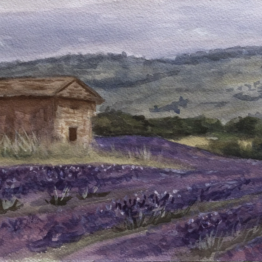 Watercolor landscape painting of a lavender field with a house