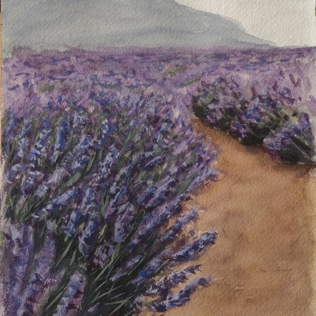 Watercolor landscape of a lavender field