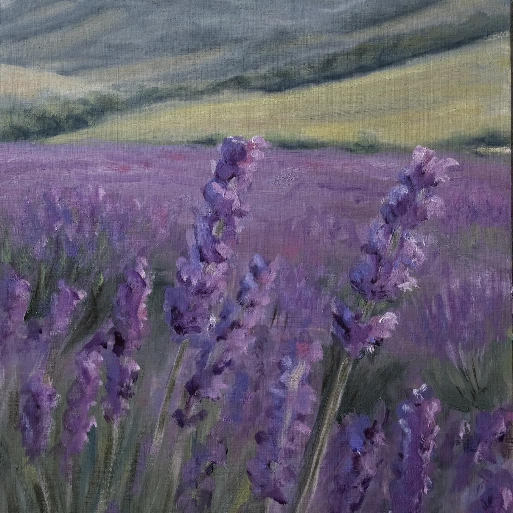 Oilpainting Landscape of a lavender field