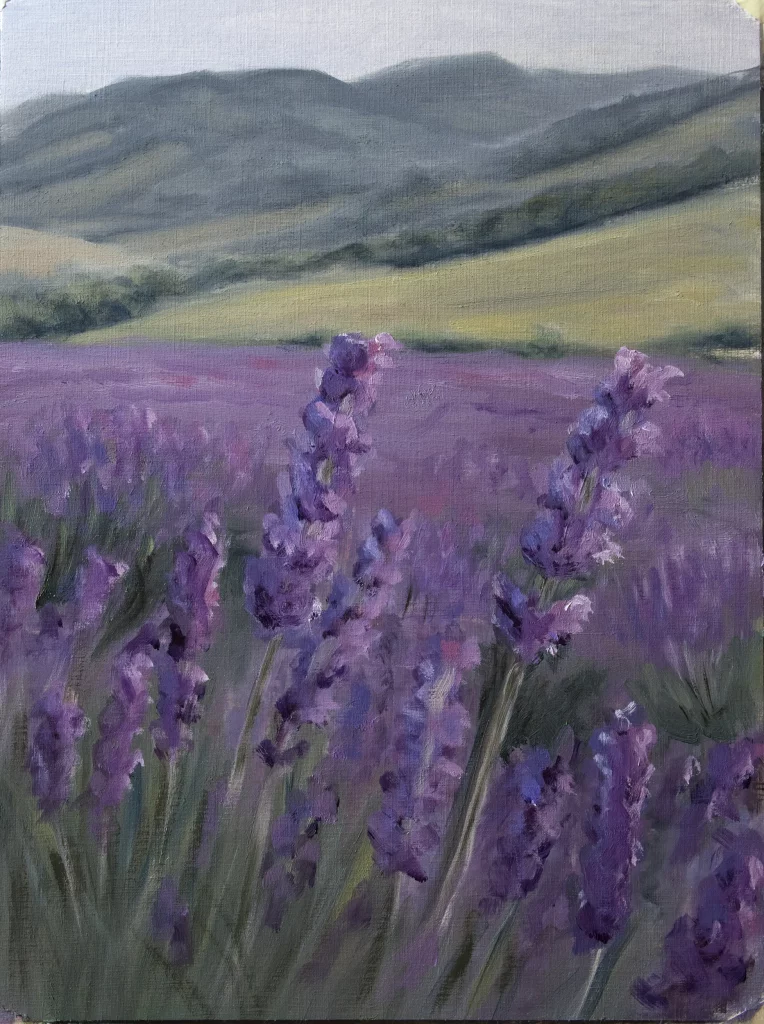 Oilpainting Landscape of a lavender field