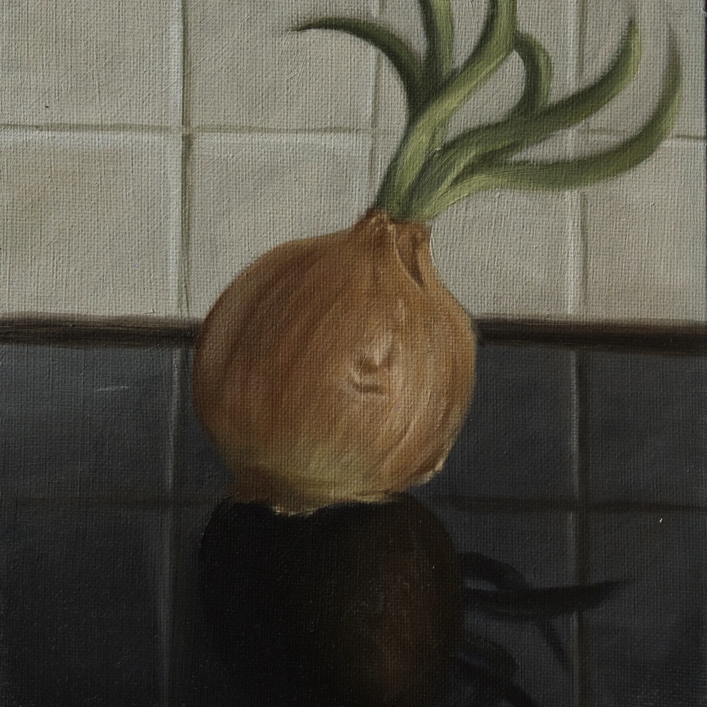 Oilpainting still life study of an Onion