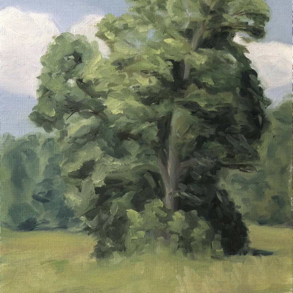 Tree study in Oilpaint