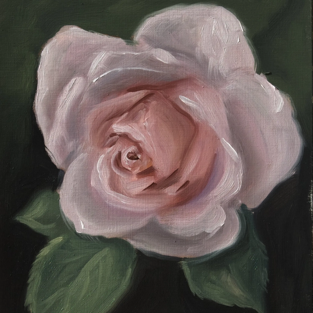 Oilpainting rose study