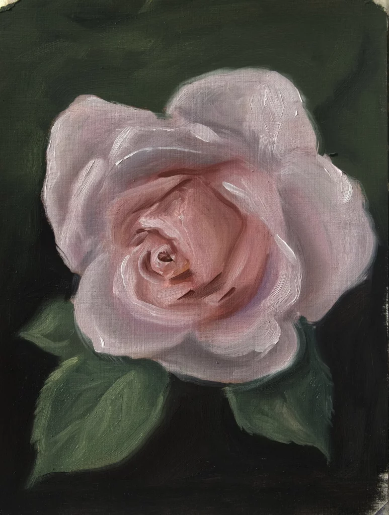 Oilpainting rose study