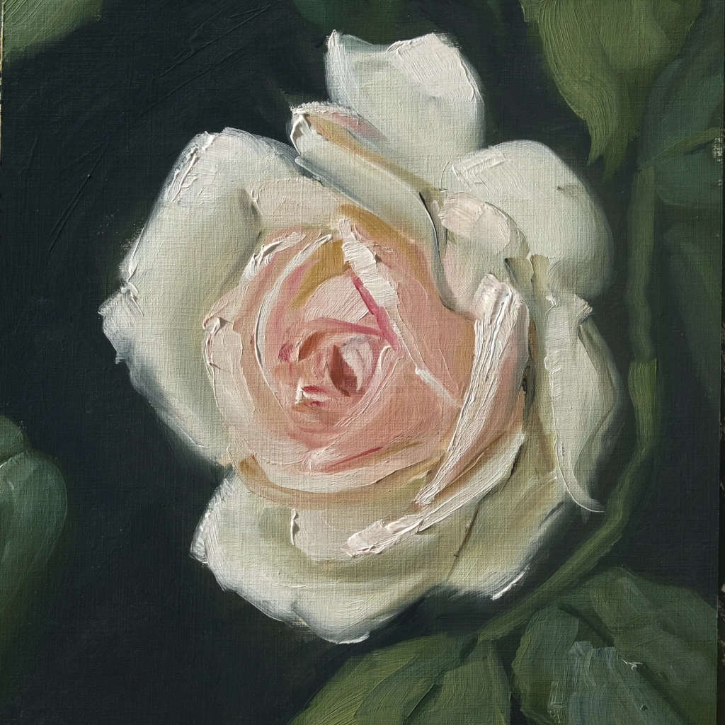 Oilpainting rose study