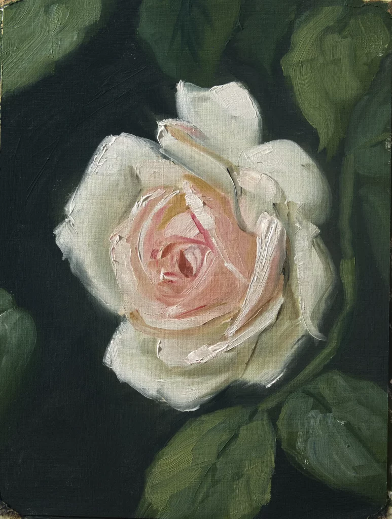 Oilpainting rose study